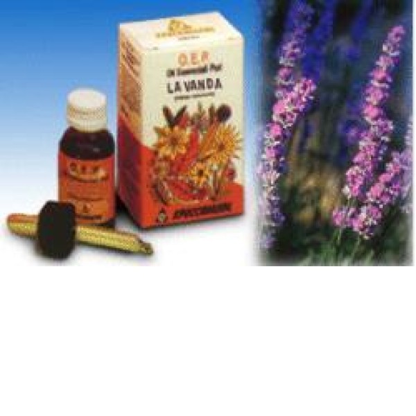 LAVANDA OLIO 10ML SPECCH