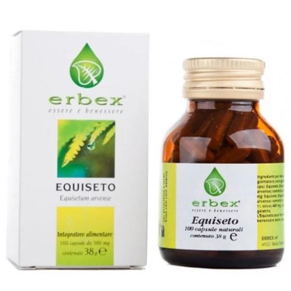 EQUISETO 100CPS 380MG