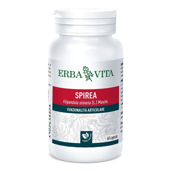 SPIREA ULMARIA 60CPS 400MG