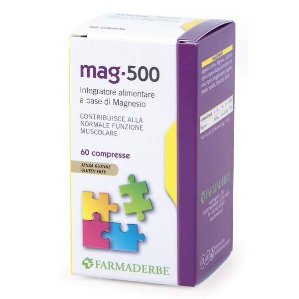 MAGNESIO 500 60CPR FDR