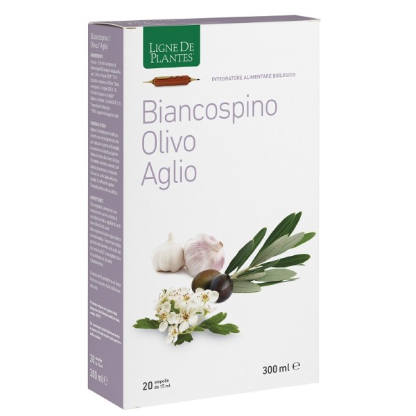 BIANCOSPINO/OLIVO/AGL 20ABX15M