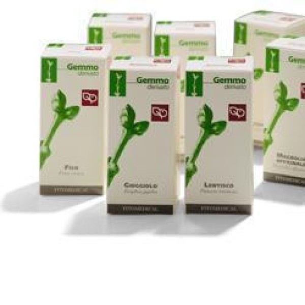 BETULLA VERRUCOSA GEMME50ML MG