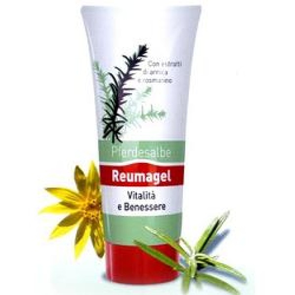 REUMAGEL PFERDESALBE GEL 200ML