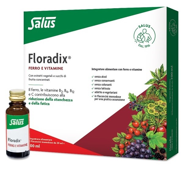 FLORADIX-FERRO 10 FLACONCINI20ML