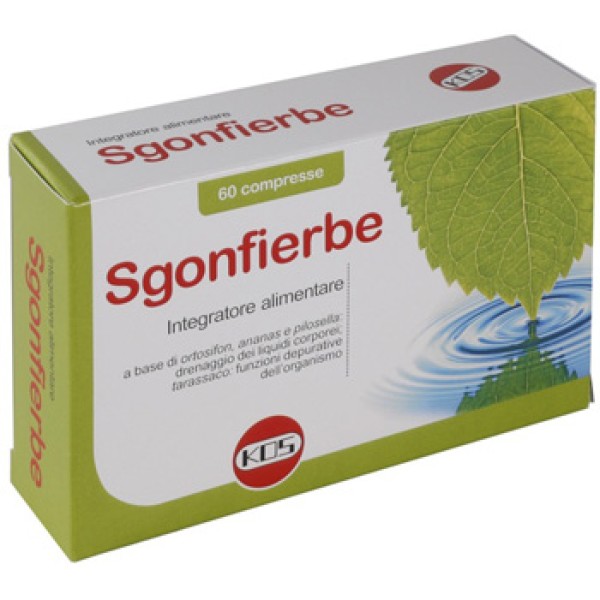 SGONFIERBE 60CPR