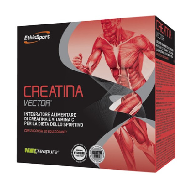 CREATINA VECTOR 20BUST 8G