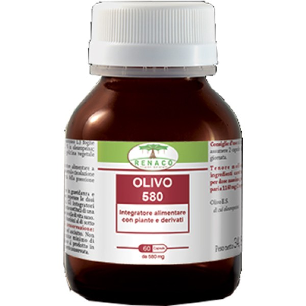 OLIVO 580 60CPS