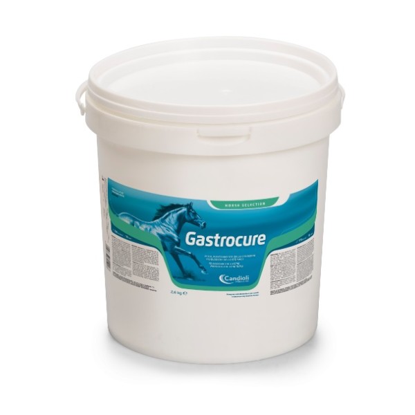 GASTROCURE 2.6 KG