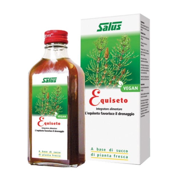 EQUISETO SUCCO 200ML BIO