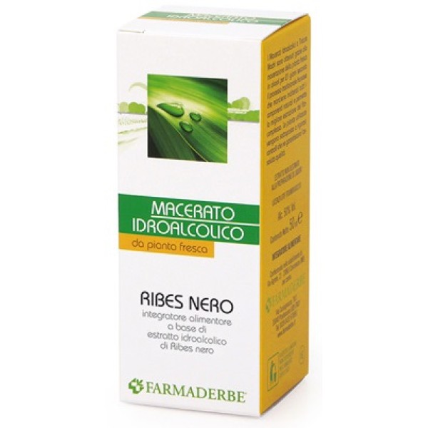 RIBES NERO MACERATO IDROALCOLI