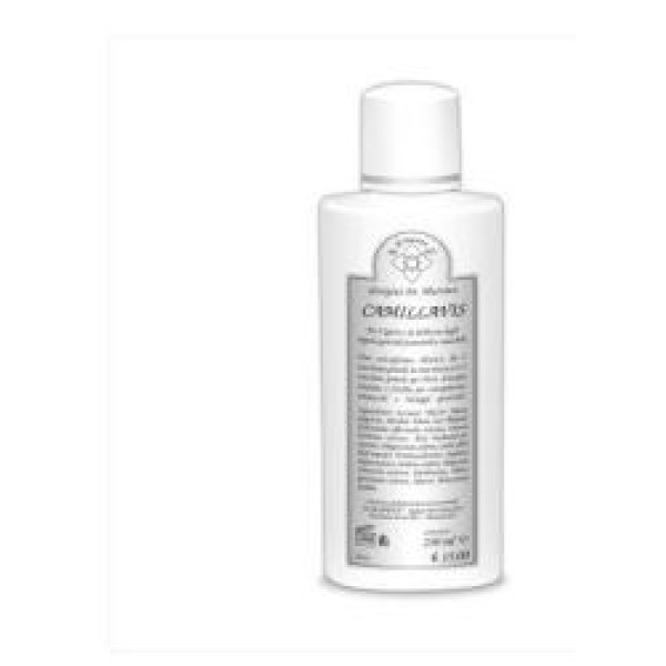CAMILLAVIS 200ML  GIORGINI
