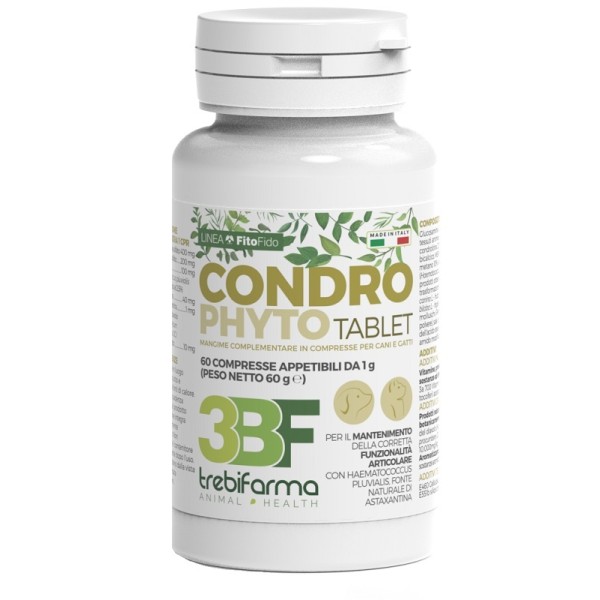 CONDROPHYTO 60CPR 1G