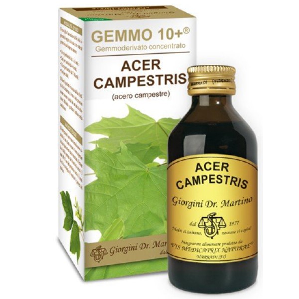 ACERO CAMP 100ML ANALCO GEM10+