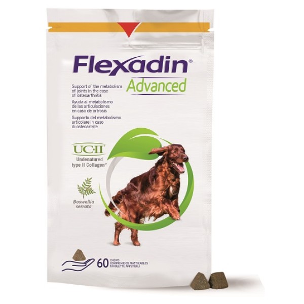 FLEXADIN ADVANCED 60TAV MASTIC