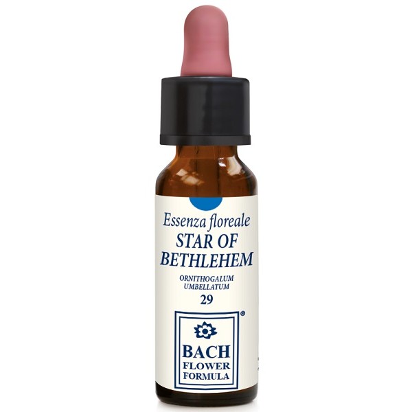 STAR OF BETHLEHEM 10ML GTT