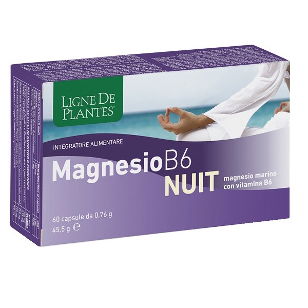 MAGNESIO B6 NUIT 60CPS