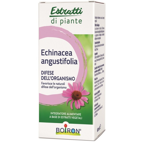 BO.ECHINACEA ANG ESTR IAL 60ML