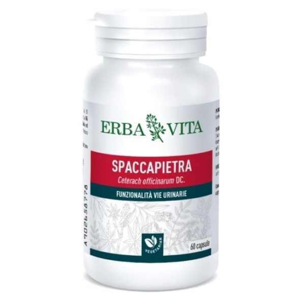 SPACCAPIETRA 60CPS N/F ERBAVIT