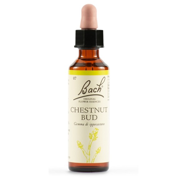 CHESTNUT BUD BACH ORIG 20ML