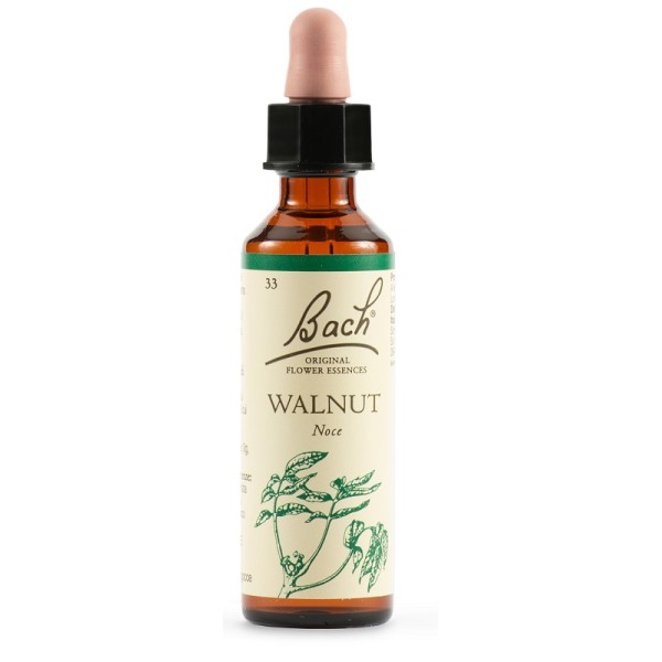 WALNUT BACH ORIG 20ML