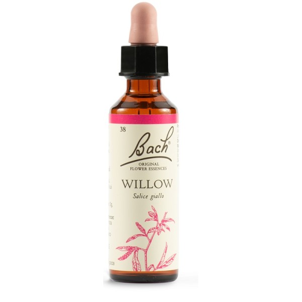 WILLOW BACH ORIG 20ML