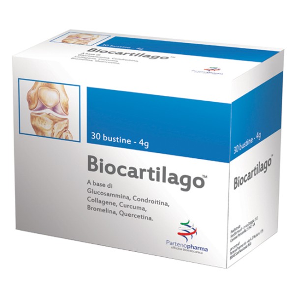 BIOCARTILAGO BS