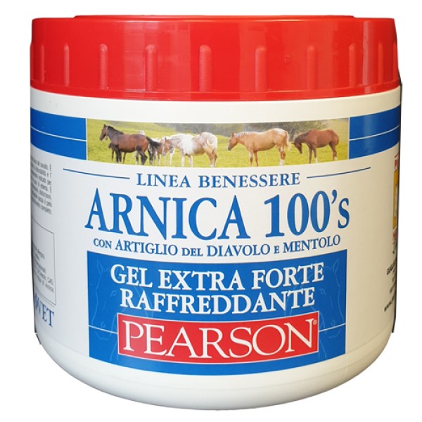 ARNICA 100 S GEL EX FT RAFF500