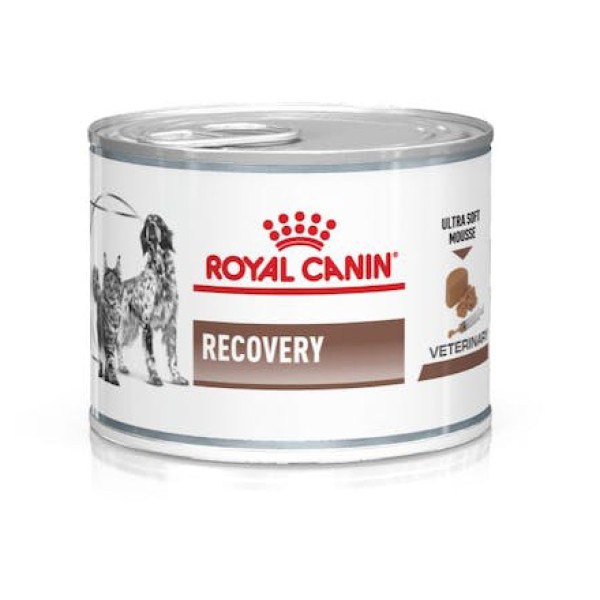 VD WET DOG&CAT RECOVERY 195G