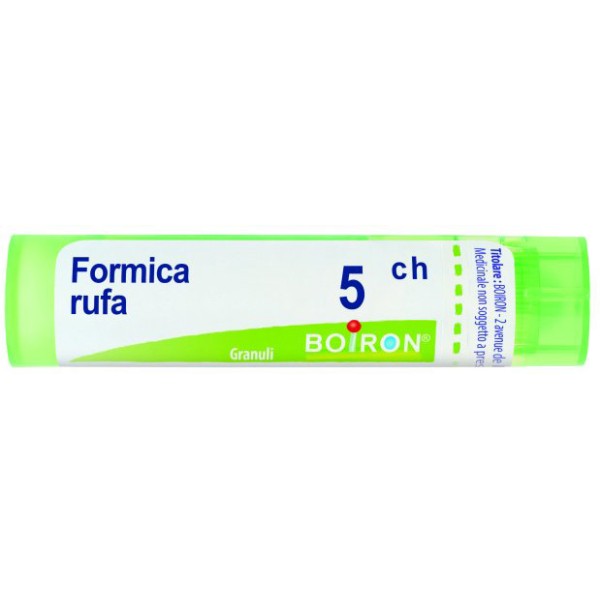 FORMICA RUFA 5CH GR 4G