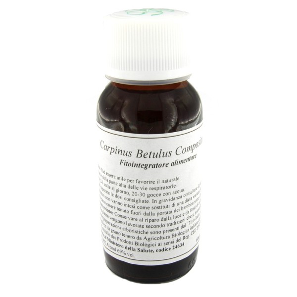 LVS 20N CARPINUS BETULUS COMP