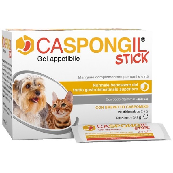 CASPONGIL STICK GEL 20STICKPAC