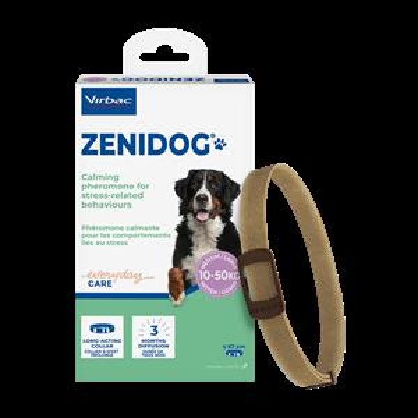 ZENIDOG COLLARE CANE ANTISTRES