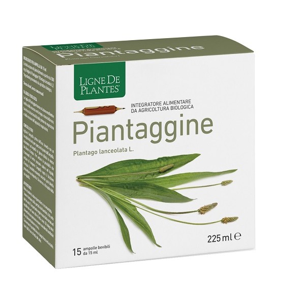 PIANTAGGINE 15AMP 15ML NATURA
