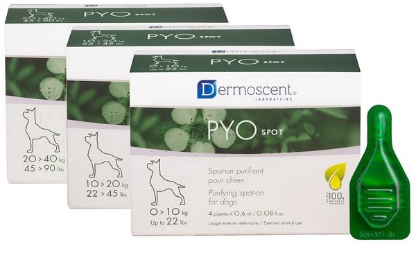 PYO SPOT CANE 0-10KG img