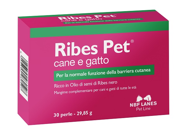Ribes pet blister 30 perle img
