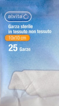 ALVITA GARZA TNT 10X10CM 25PZ