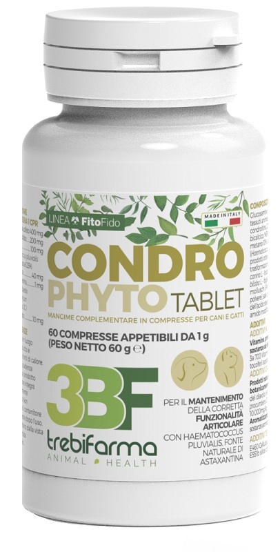 CONDROPHYTO 60CPR 1G img