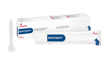 DENTISEPT PASTA DENTIF ORALE img