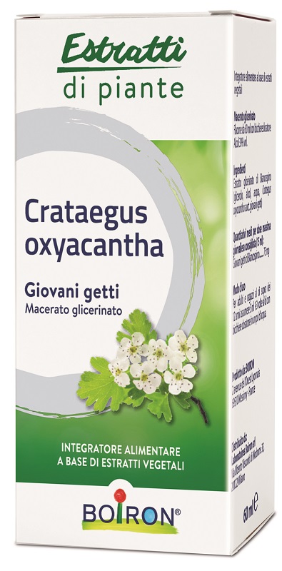 BO.CRATAEGUS OXY MG 60ML INT
