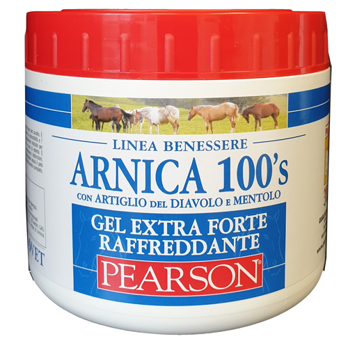 ARNICA 100 S GEL EX FT RAFF500 img