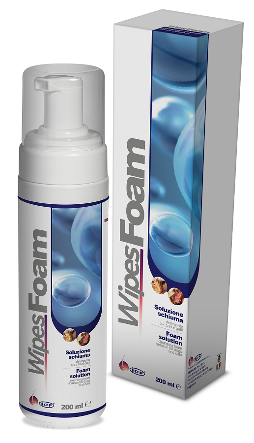 Wipes foam 200 ml img