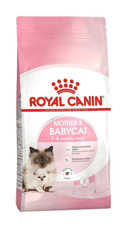 FELINE HN MOTHER&BABYCAT 34 2K img