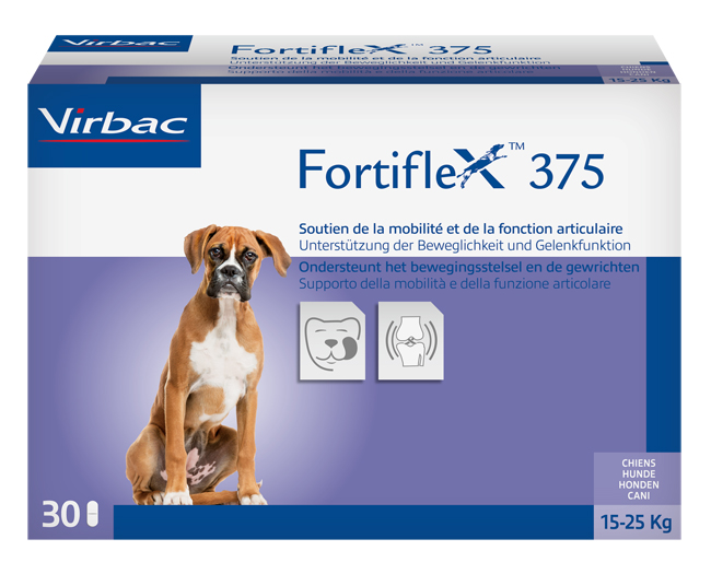 FORTIFLEX 375MG 30CPR img