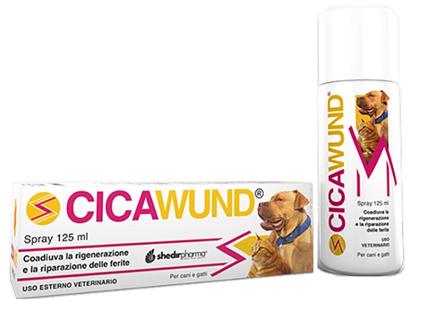 CICAWUND SPRAY 125ML img 2